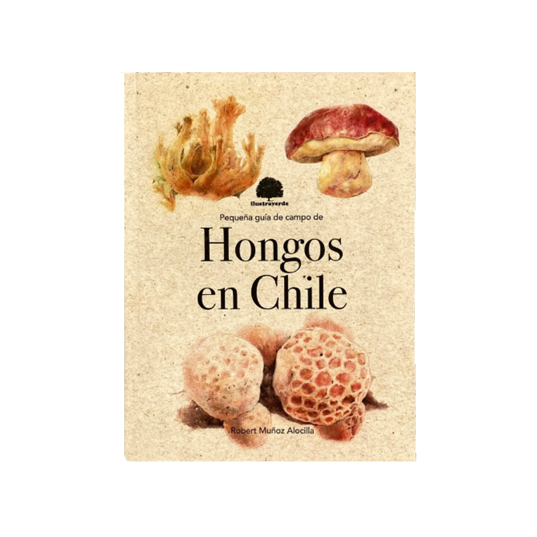 Pequeña guía de campo de hongos de Chile - Ilustraverde