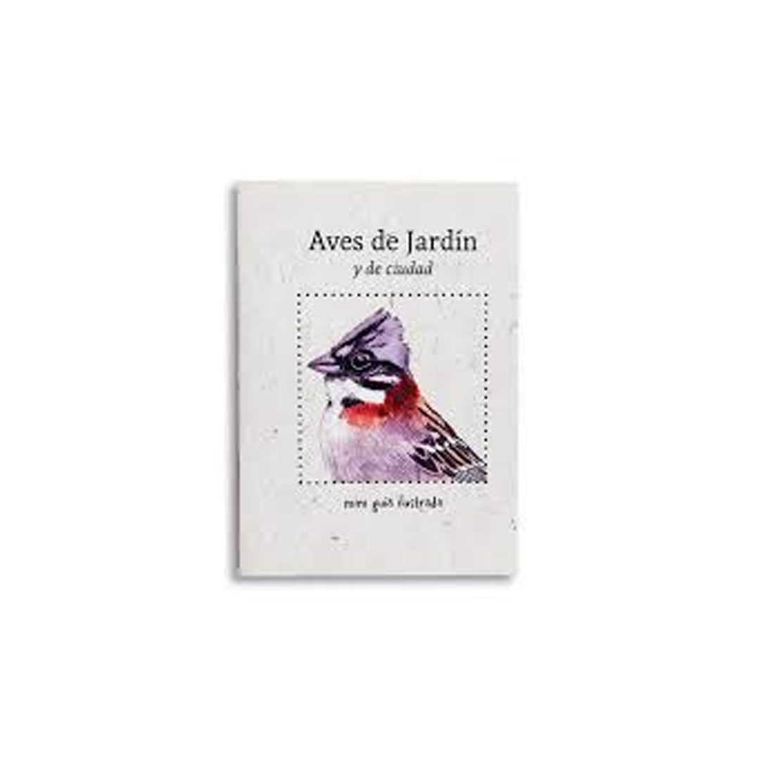 Aves de jardín y de ciudad - Ilustraverde