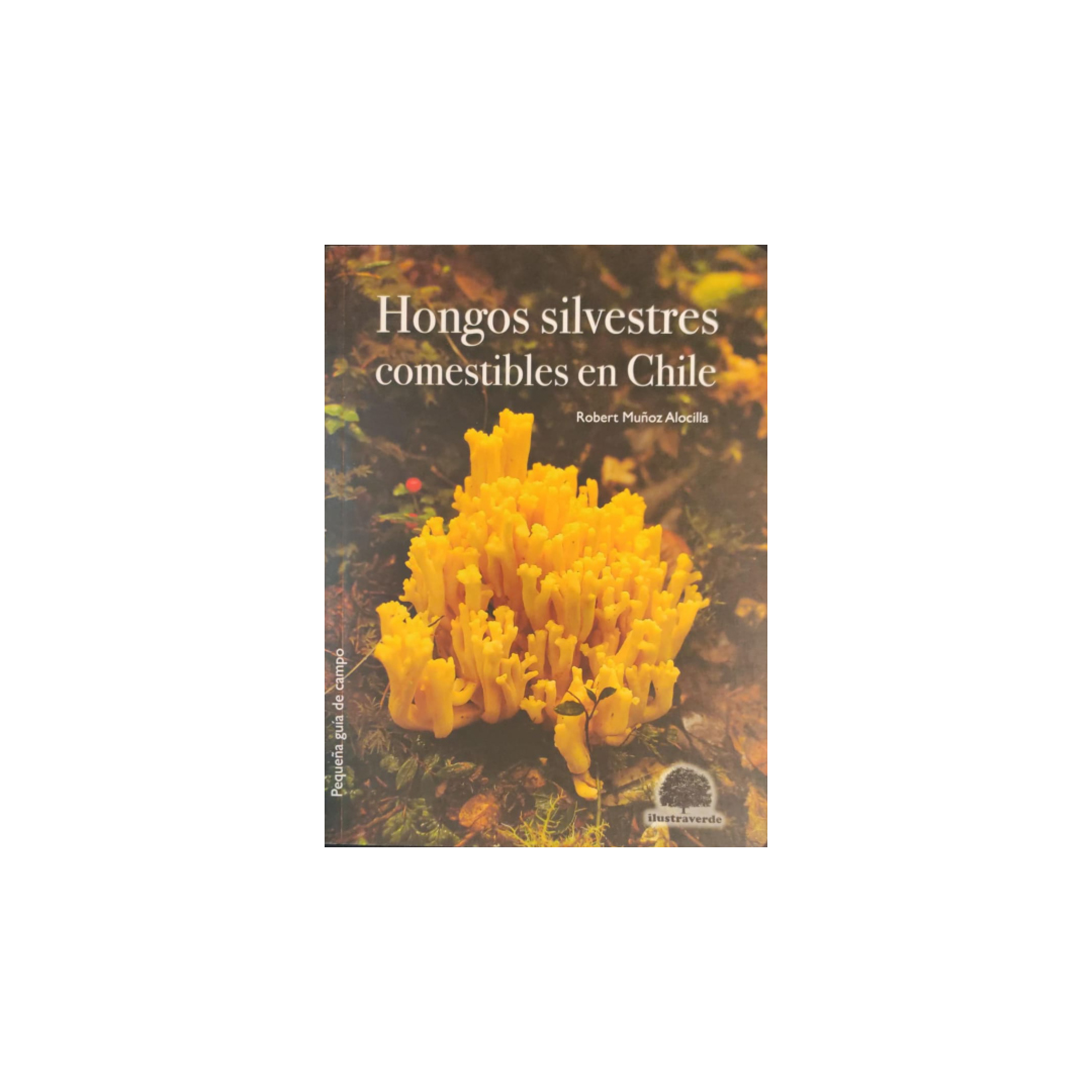 Hongos silvestres comestibles en Chile - Ilustraverde