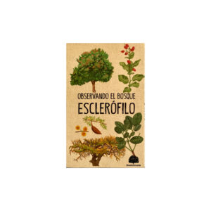 Observando el bosque esclerófilo - Ilustraverde