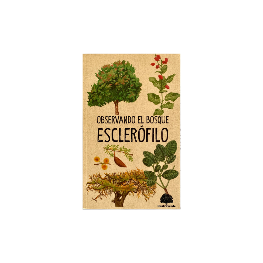 Observando el bosque esclerófilo - Ilustraverde
