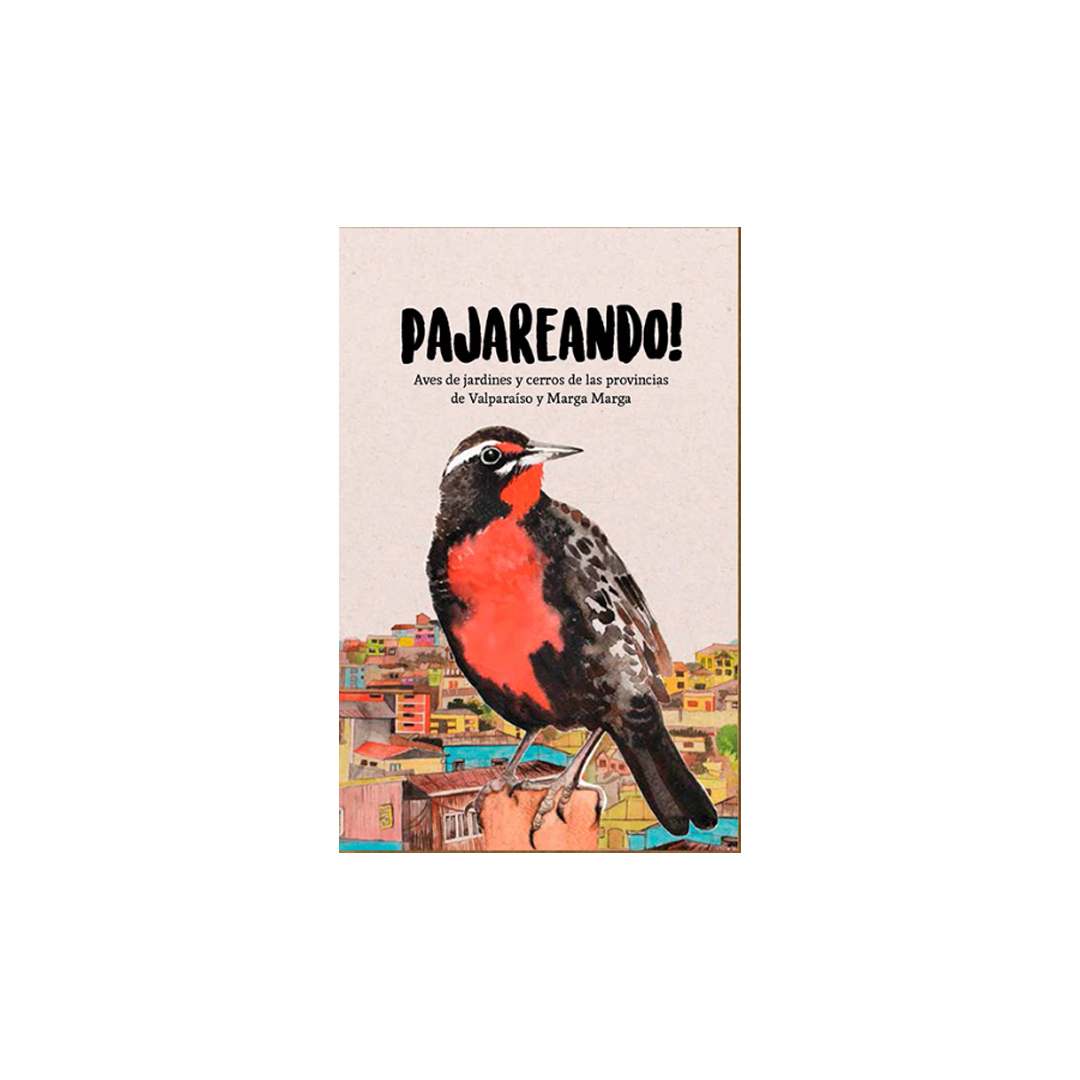 Pajareando! - Ilustraverde
