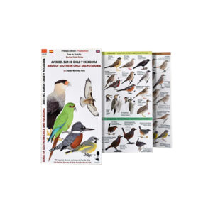 Guía Aves del Sur de Chile y Patagonia - Museo Ediciones