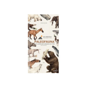 Guía Paleofauna - Valparaíso Trekking