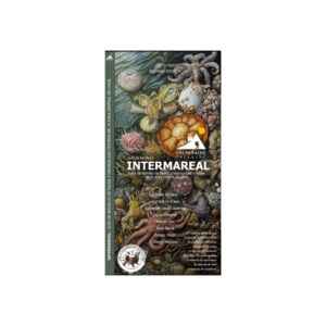 Guía Intermareal - Valparaíso Trekking