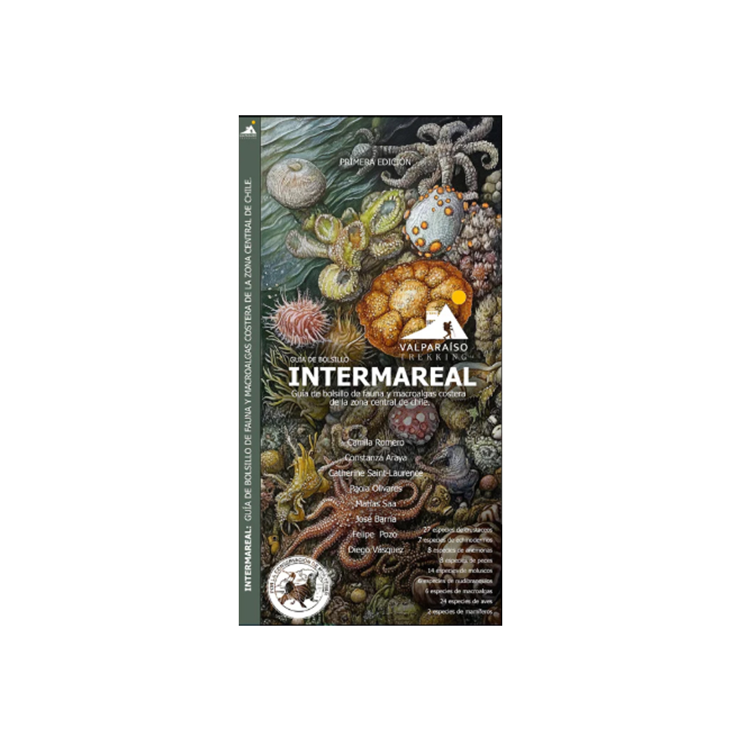Guía Intermareal - Valparaíso Trekking